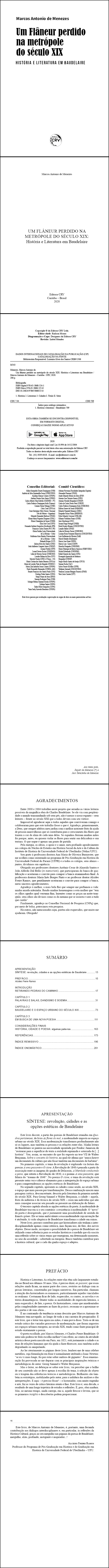 UM FLÂNEUR PERDIDO NA METRÓPOLE DO SÉCULO XIX: <br> HISTÓRIA E LITERATURA EM BAUDELAIRE